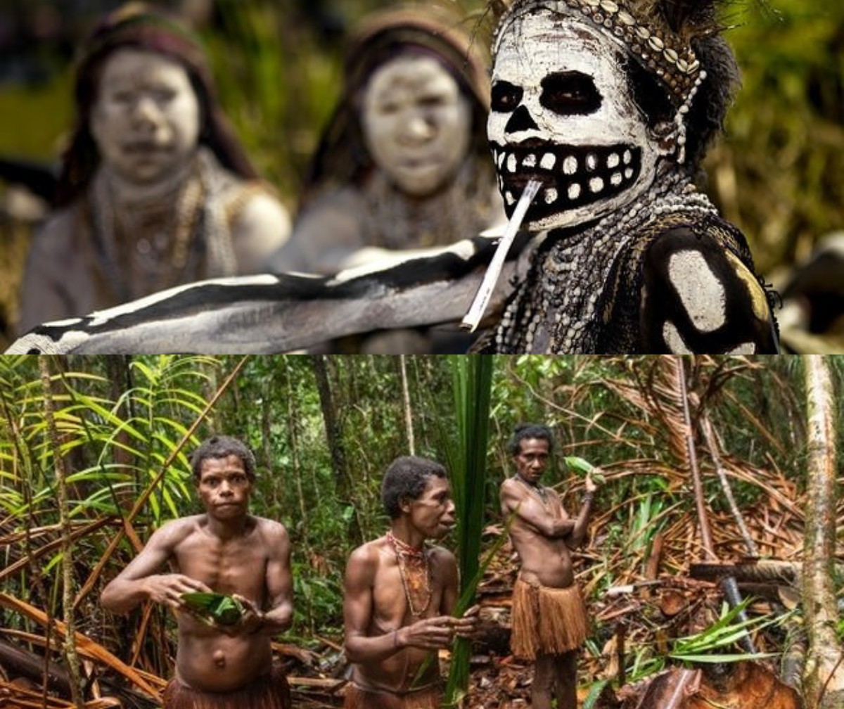 Tradisi Unik yang Bikin Parno! Inilah Tradisi yang Ada di Papua yang Suka Makan Otak dan Daging Kerabatnya