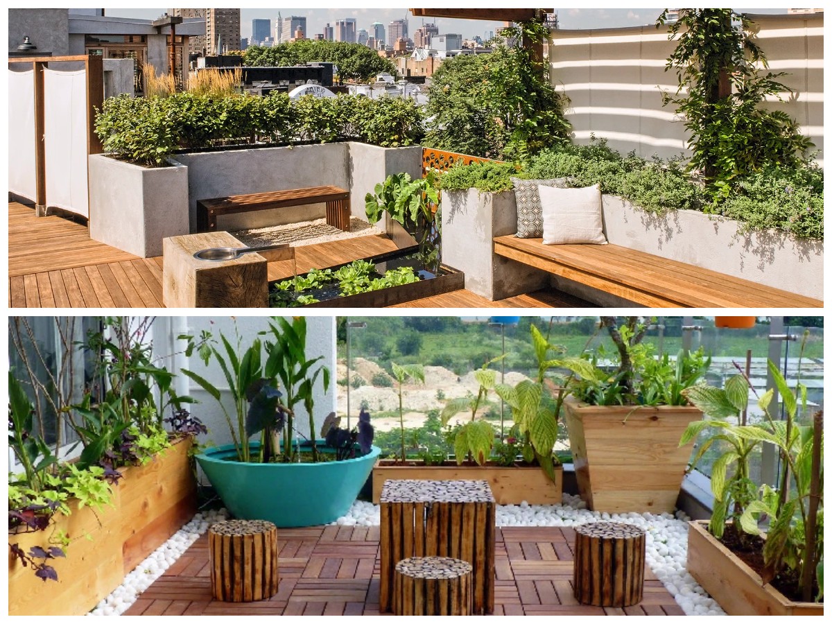 Taman Rooftop Minimalis untuk Rumah Modern, Tempat Berkumpul Keluarga yang Fungsional dan Menawan