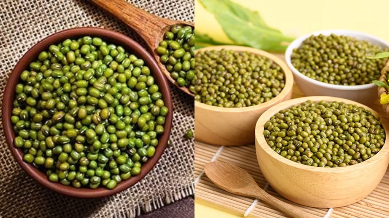 Mengurangi Peradangan Inilah Manfaat Dari Kacang Hijau Yang Luar Biasa Untuk Kesehatan! 