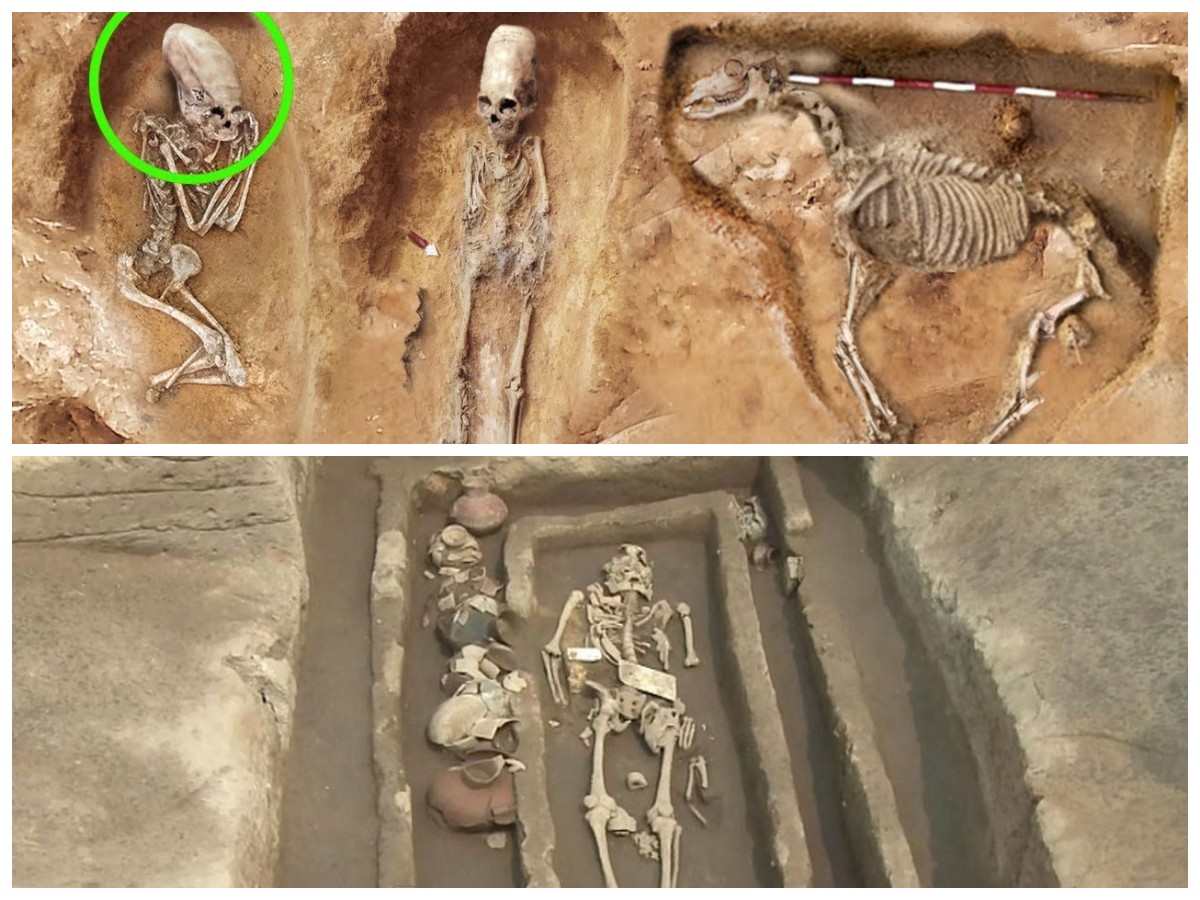 Temuan Fosil Raksasa di Ekuador Bikin Heboh, Para Ilmuwan Desak Penelitian Lanjutan