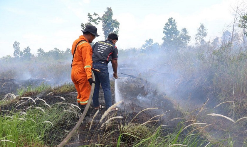 Antisipasi Karhutla Jelang Kemarau, BPBD Sumsel Siapkan Strategi Ini 