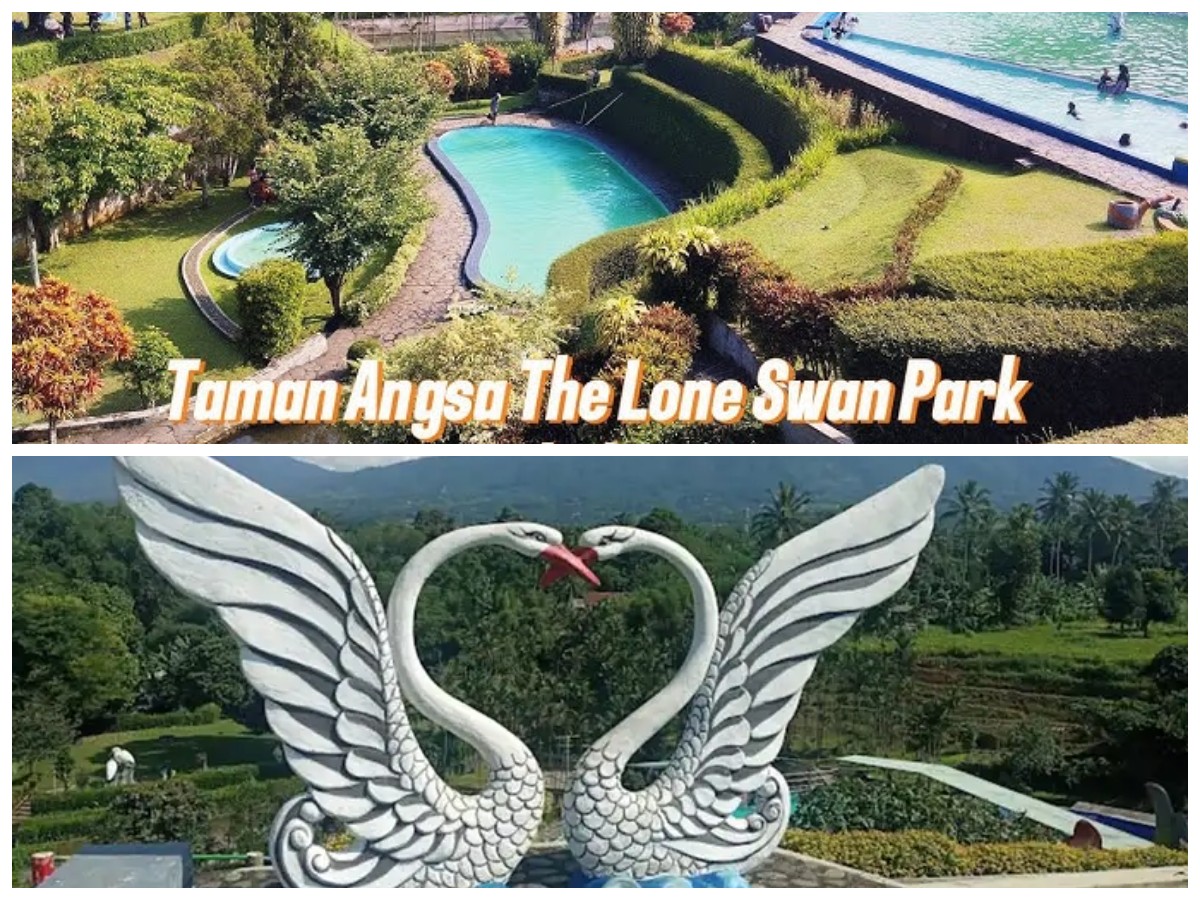Lone Swan Park: Destinasi Rekreasi Keluarga dengan Pesona Taman Angsa yang Memikat