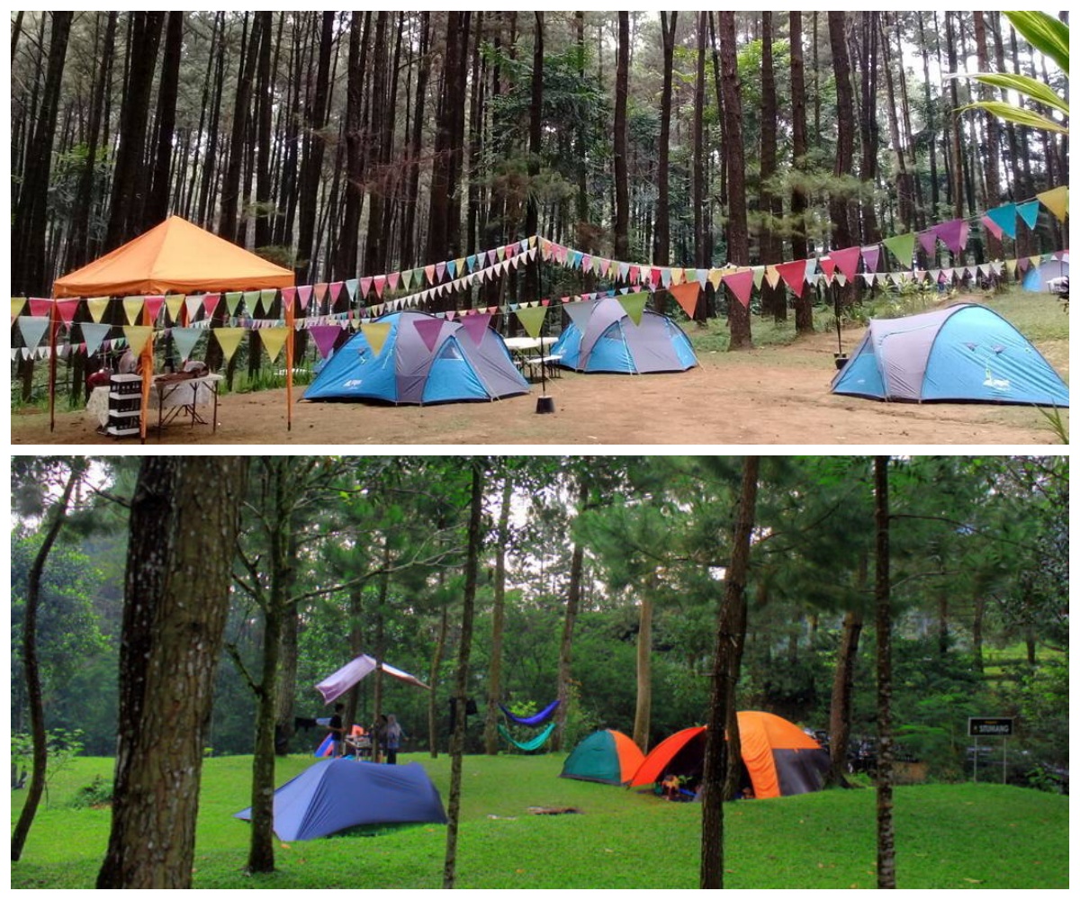 Cuma 1 Jam dari Jakarta, Camping Seru di Taman Wisata Alam Gunung Pancar Cocok Untuk Keluarga!