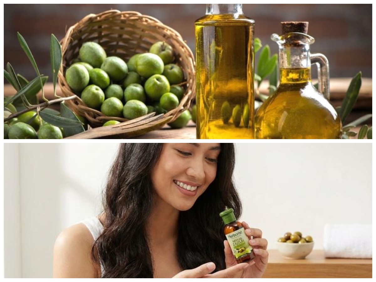 Manfaat Minyak Zaitun untuk Rambut: Bikin Lebih Sehat, Lembut, dan Berkilau Alami