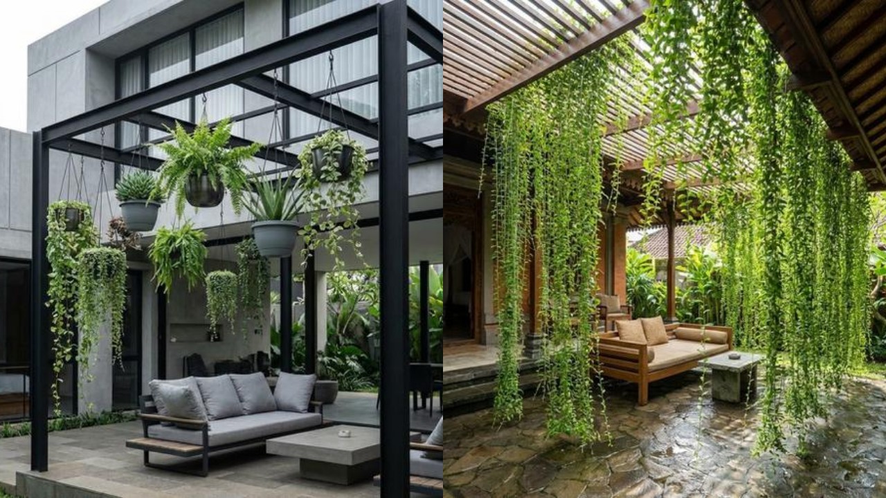 Inspirasi Teras Rumah Teduh dengan Tanaman Gantung, Sejuk dan Menenangkan!