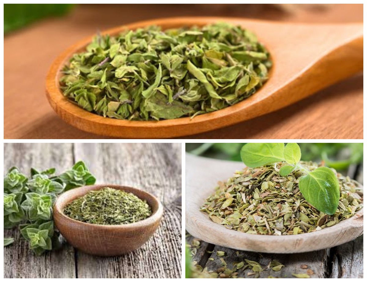 Inilah 6 Manfaat Oregano bagi Kesehatan, Herbal Aromatik dengan Segudang Khasiat!