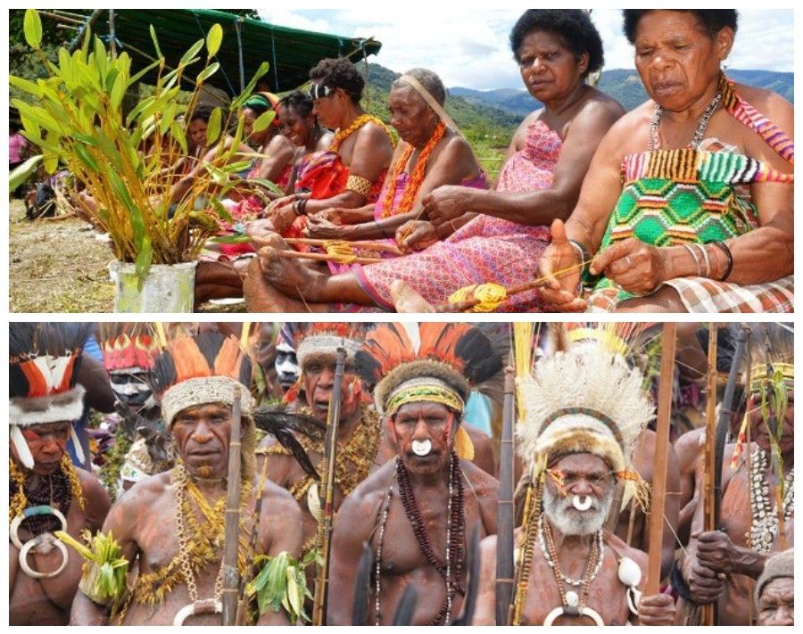 Mengenal Suku Arfak: Kekayaan Tradisi dan Sejarah dari Pegunungan Papua