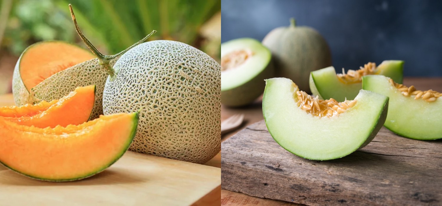 7 Cara Mengonsumsi Melon yang Rendah Kalori