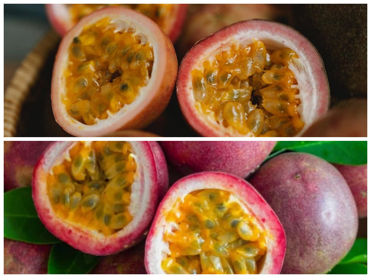 Rahasia Markisa: Buah Asam yang Kaya Manfaat untuk Kesehatan Tubuh