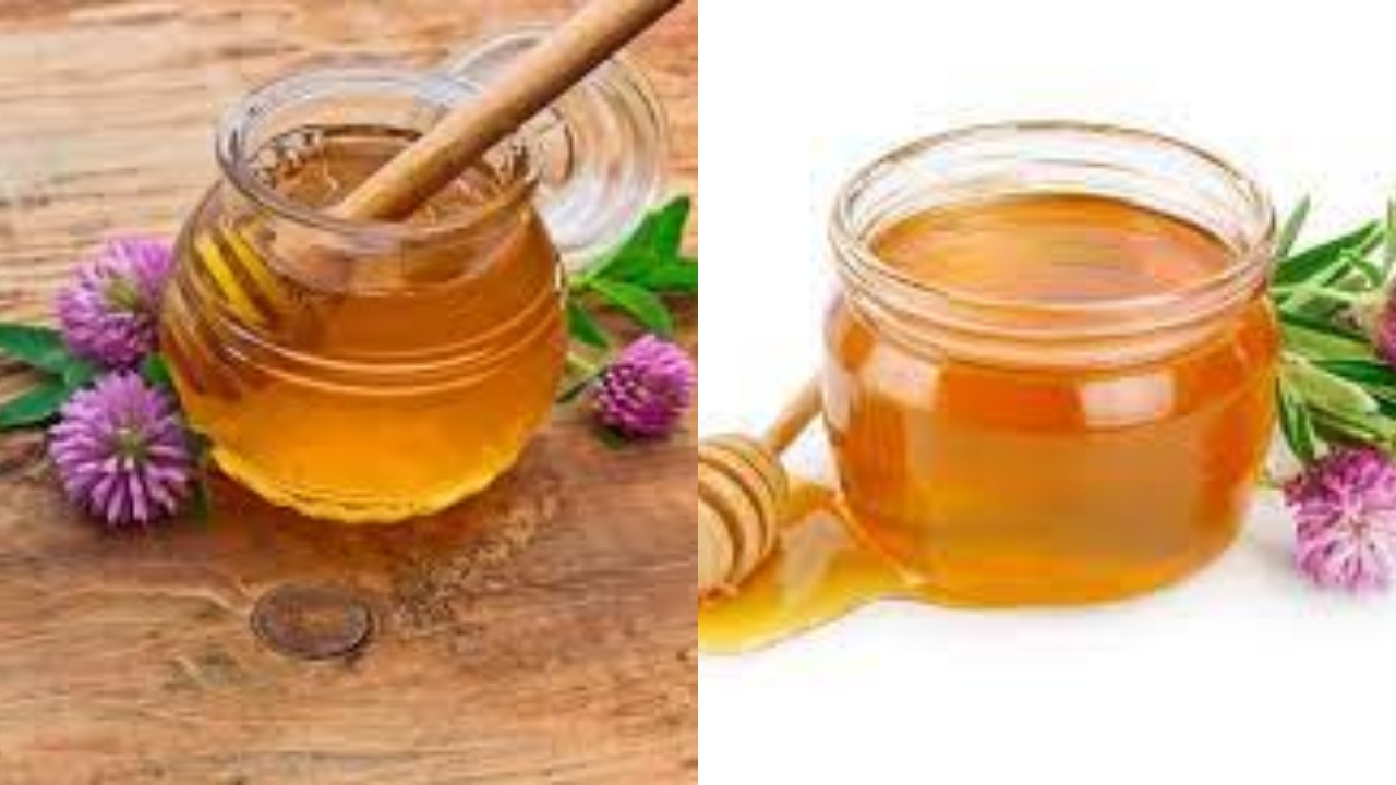  Sering Lelah dan Sakit Tenggorokan? Coba Clover Honey, Ini Manfaatnya Untuk Kesehatan