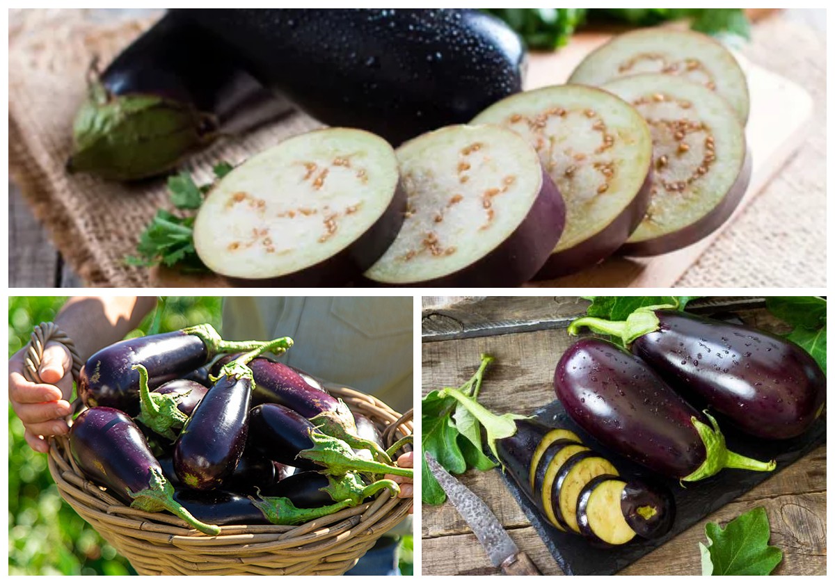 Manfaat Terong bagi Kesehatan Tubuh: Dari Menjaga Jantung Hingga Meningkatkan Kesehatan Otak!