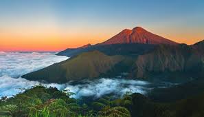 Penasaran! Ini 4 Hewan Langka Di Gunung Rinjani, Ada Apa Yah?