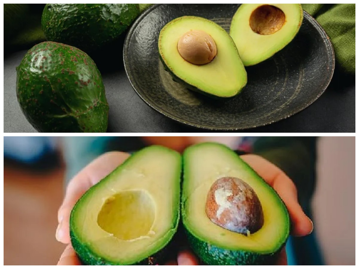 Rahasia Alpukat untuk Promil: Cara Tepat Konsumsi agar Kesuburan Meningkat