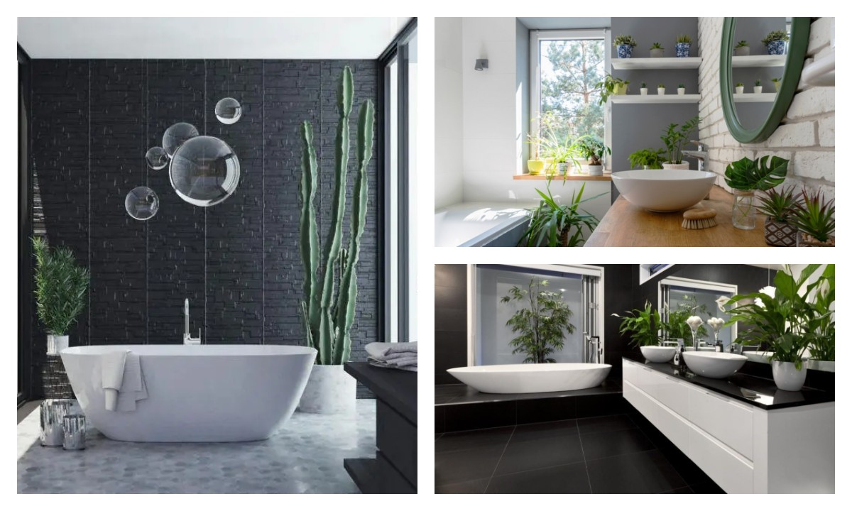 Tanaman Penghilang Bau Kamar Mandi: Solusi Alami Lebih Ampuh daripada Deodoran!