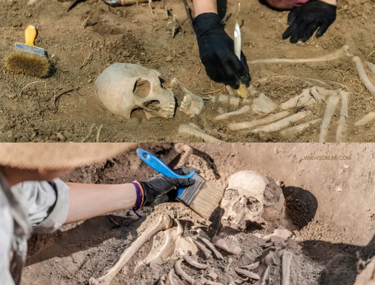 Jejak Sejarah Manusia Purbakala: Penemuan Fosil dan Artefak Manusia Purbakala!