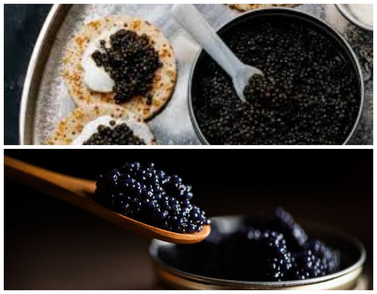 Meski Hidangan Mahal! Caviar Menyimpan Sejuta Manfaat Luar Biasa untuk Kesehatan Loh