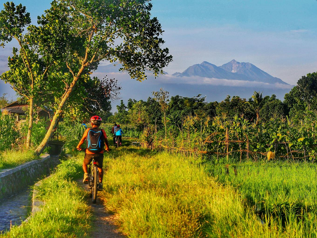 Suasana Pedesaan Autentik, Eksplorasi Desa Wisata Bilebante di Lombok