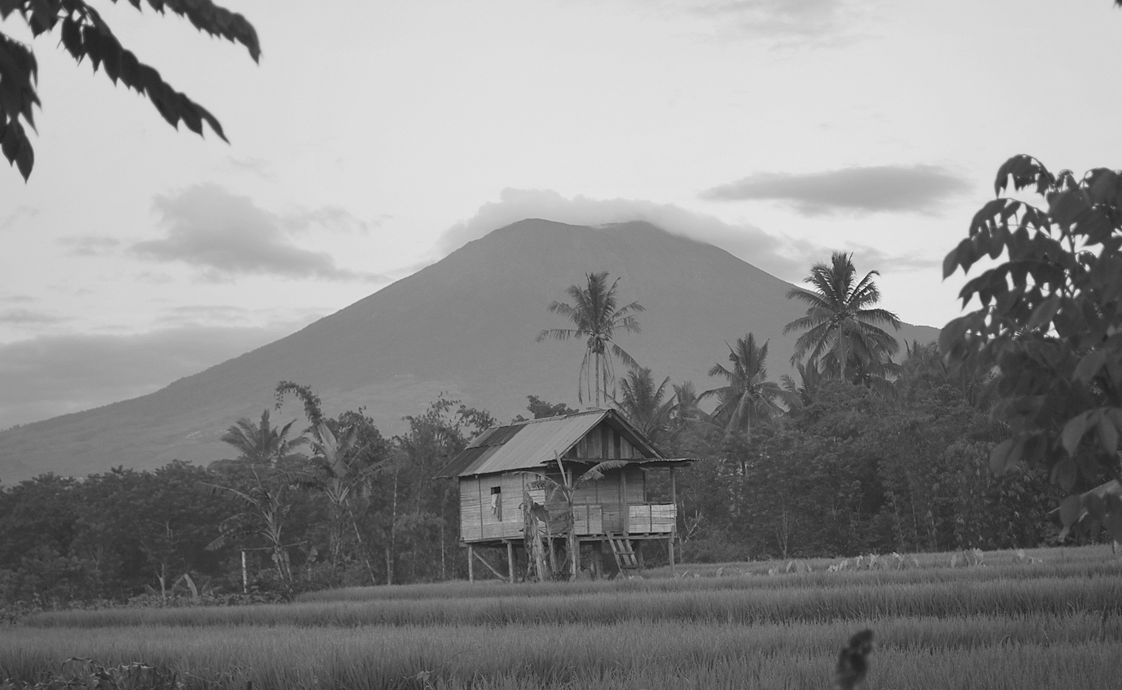 Miliki Julukan The Beauty Of South Sumatera, Ini 5 Fakta Unik Kota Pagar Alam!