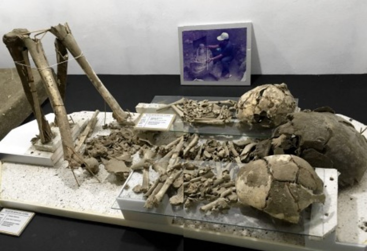 Gilimanuk! Pintu Gerbang Masa Lalu Bali yang Tak Pernah Diceritakan