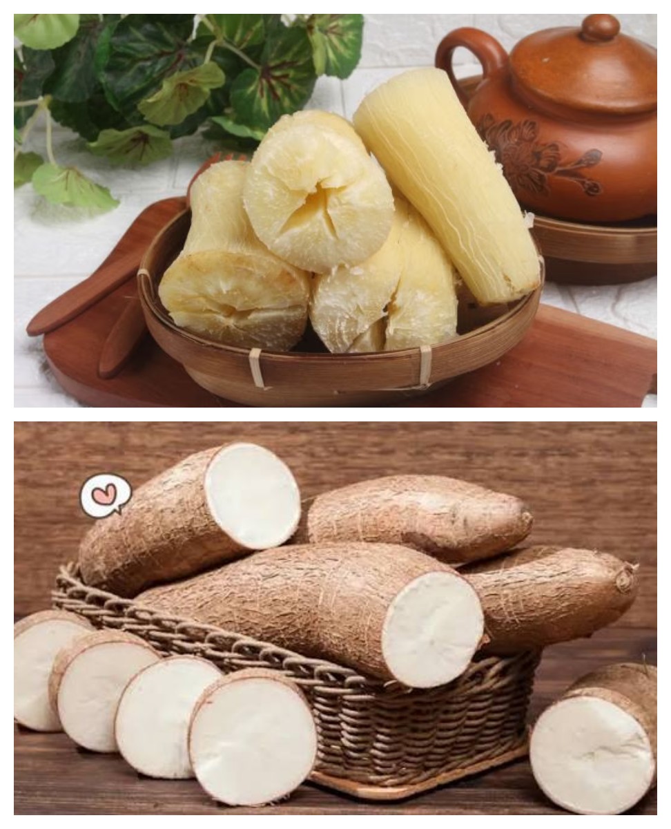 4 Khasiat Singkong untuk Kesehatan Tubuh dan Tips Mengolahnya dengan Benar