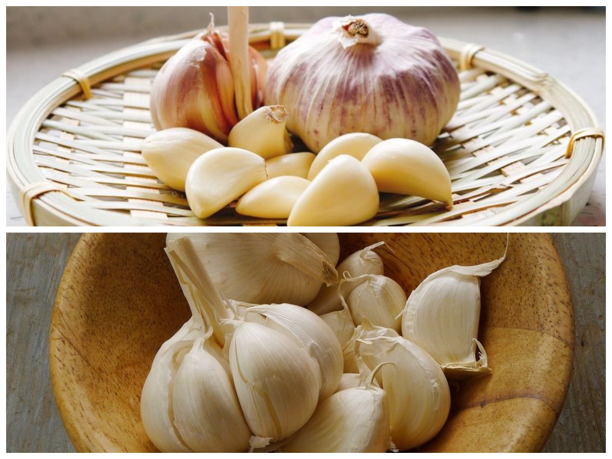 Manfaat Bawang Putih untuk Kesehatan, Mulai dari Menurunkan Kolesterol hingga Tingkatkan Imun
