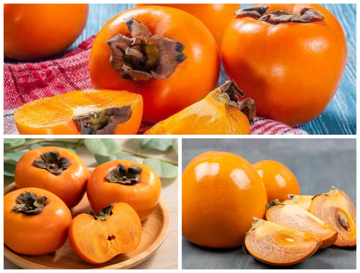 Manfaat Buah Kesemek yang Wajib Diketahui untuk Kesehatan Tubuh dan Kecantikan!