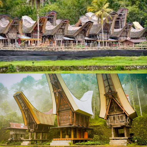 Jejak Warisan Budaya, Menyingkap 5 Fakta Unik dan Tradisi Tana Toraja Di Sulawesi!