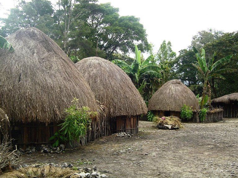 Mengungkap Keharmonisan dan Makna 3 Rumah Adat Suku Papua yang Unik, Ini Dia Penjelasan Lengkapnya