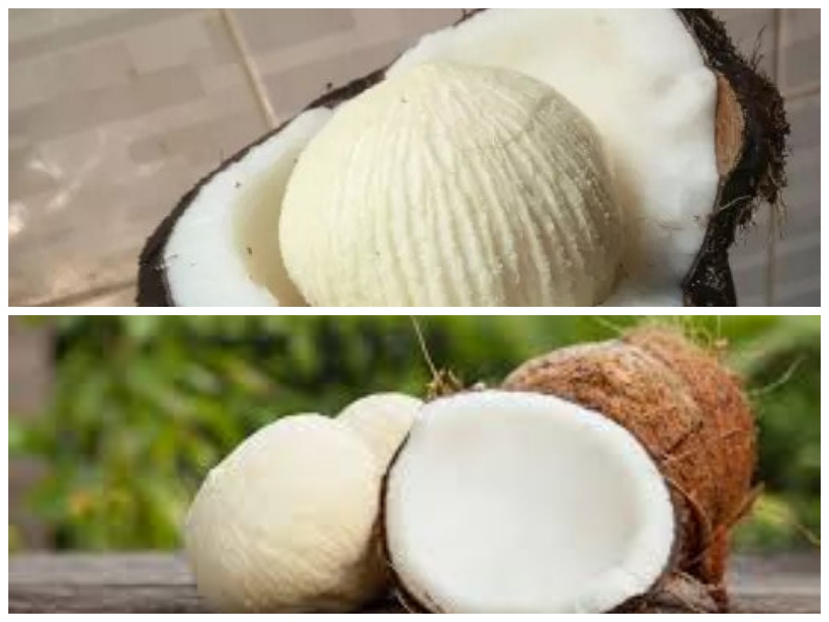 Jarang Diketahui, Kentos Kelapa Ternyata Punya Banyak Khasiat untuk Kesehatan