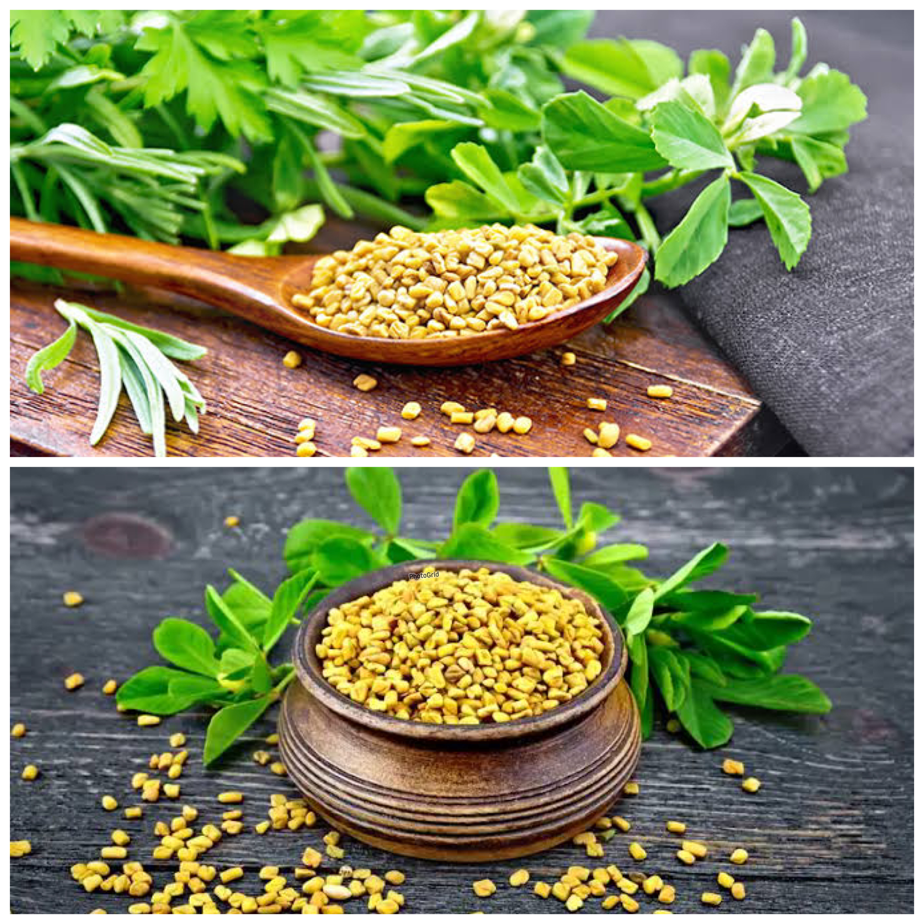 Khasiat Biji Fenugreek untuk Tubuh: Rahasia Alami Menjaga Pencernaan dan Stabilkan Gula Darah