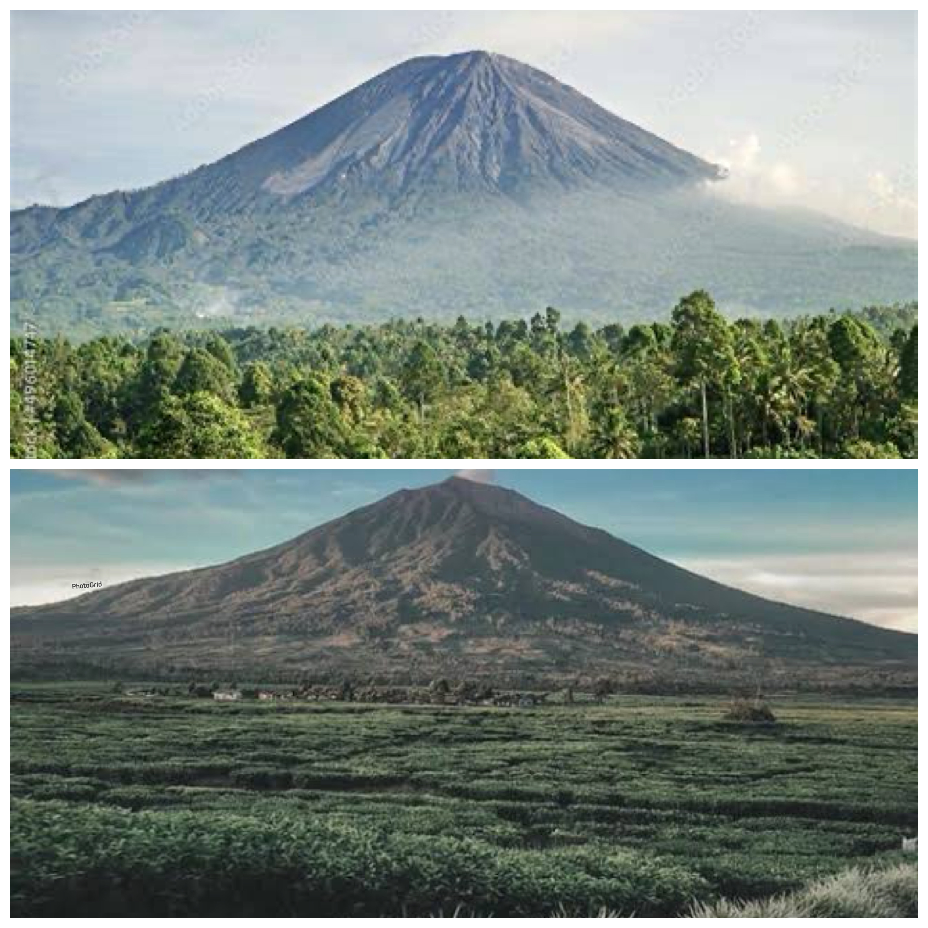 Memahami Sejarah Gunung Malabar: Jejak Alam dan Warisan Kolonial di Tanah Priangan!