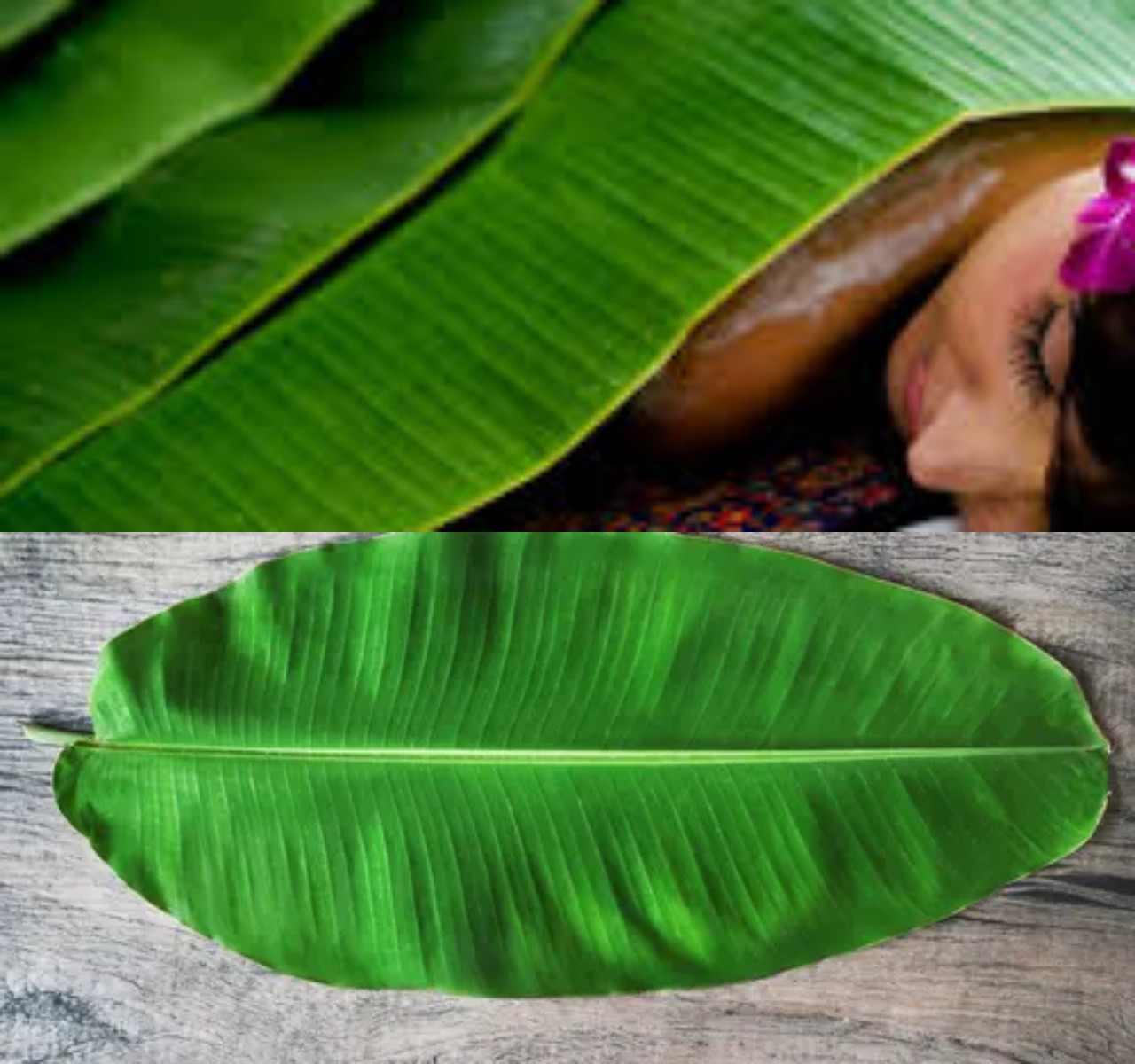 Waw Ini Dia Keuntungan Daun Pisang dan Efek Sampingnya!