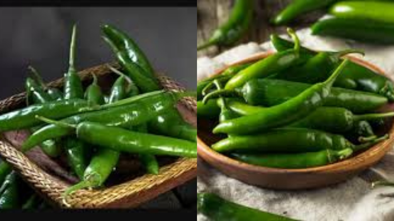 Yuk Ketahui! 8 Manfaat Cabai Hijau Untuk Kesehatan Tubuh,Ini Penjelasanya