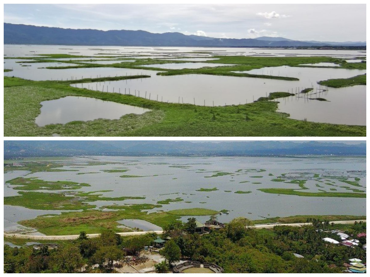 Menyingkap Warisan Danau Limboto, Simbol Kehidupan Gorontalo yang Semakin Menyusut