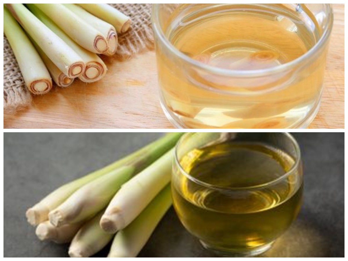 Cara Praktis Membuat Jamu Serai, Minuman Tradisional untuk Kesehatan