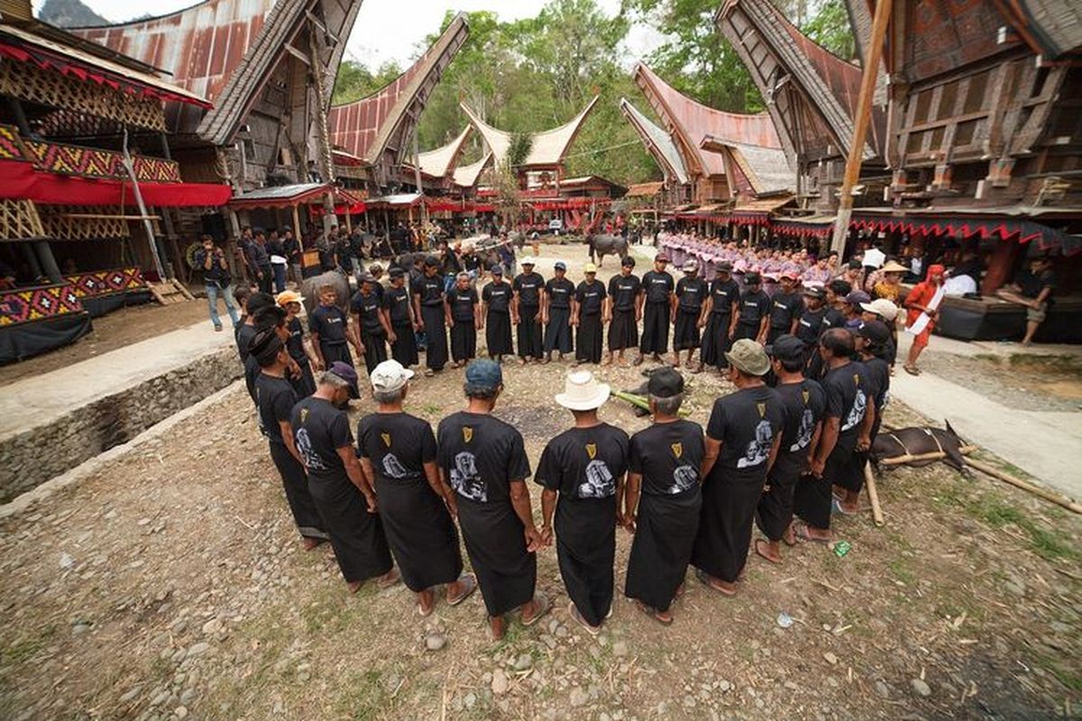 Apakah Anda Tahu Fakta Menarik Tentang Suku Toraja? Temukan Keunikannya!