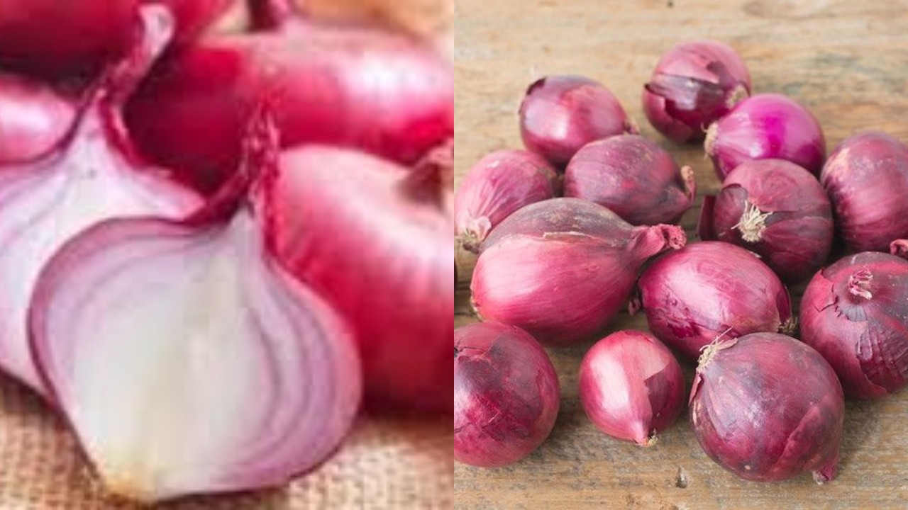 Cara Menurunkan Panas Anak dengan Bawang Merah, Benarkah Efektif?