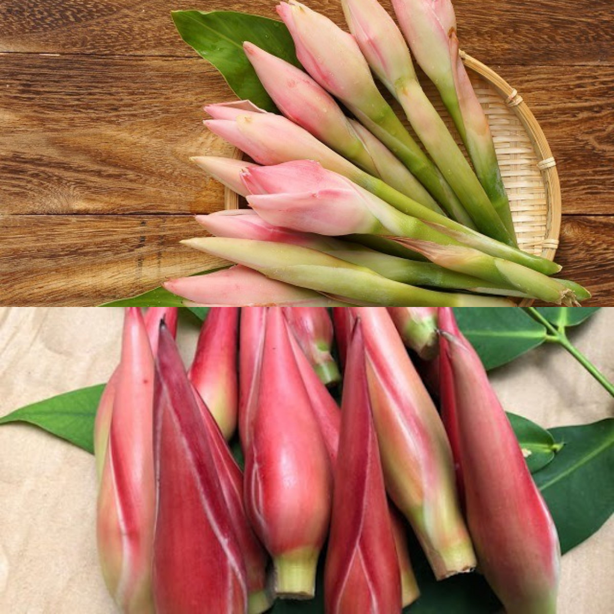 6 Keuntungan Kecombrang untuk Kesehatan serta Cara Memilih dan Mengolahnya!