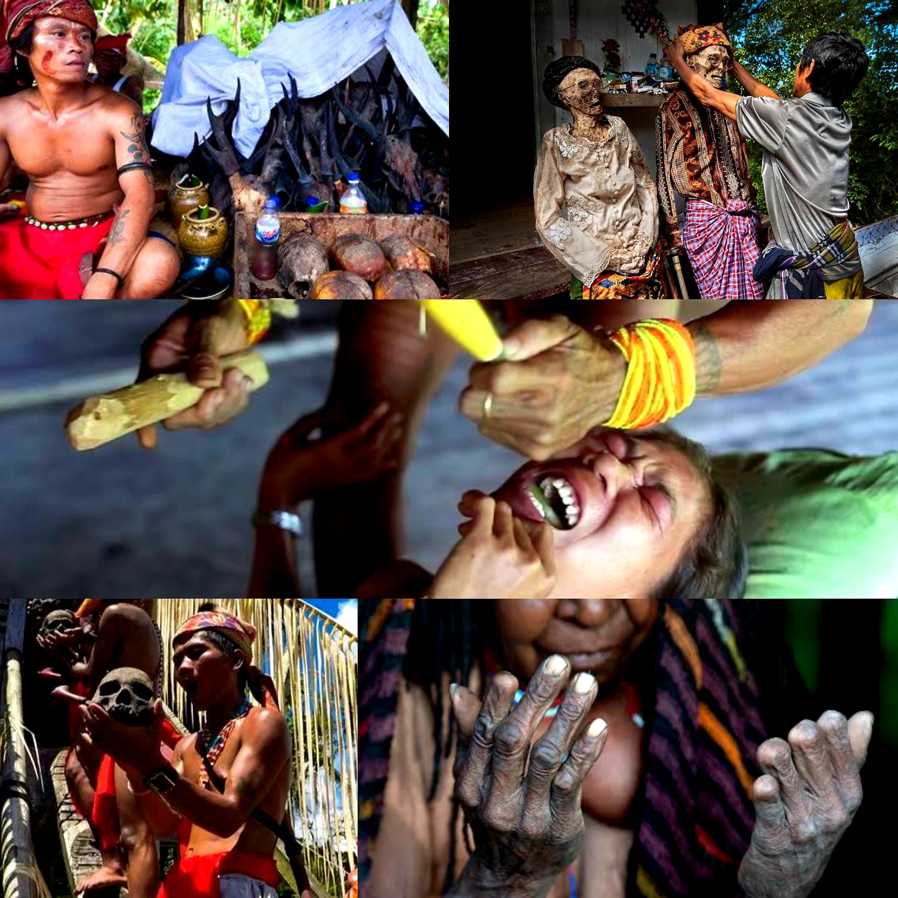 Kejam! Potong Jari Hingga Perburuan Kepala Manusia? Tradisi Ekstrem 5 Suku Ini Benar Ada di Indonesia