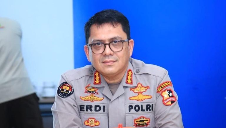 Delapan Polda Ini Akan Dibentuk Direktorat Siber, Disetujui Menpan RB