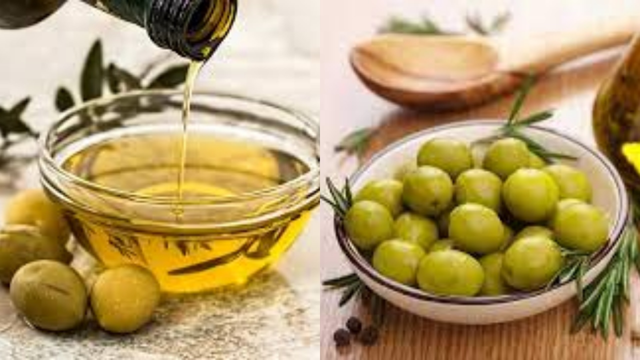 Manfaat Minyak Zaitun Obat Tradisional Yang Harus Kalian Tahu!