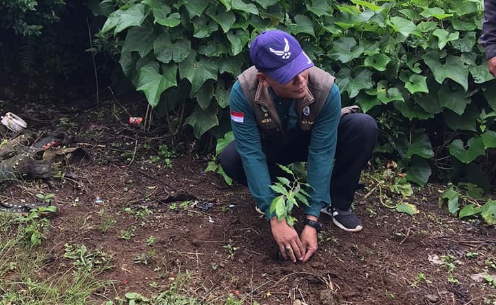 Rehabilitasi Hutlin Kritis