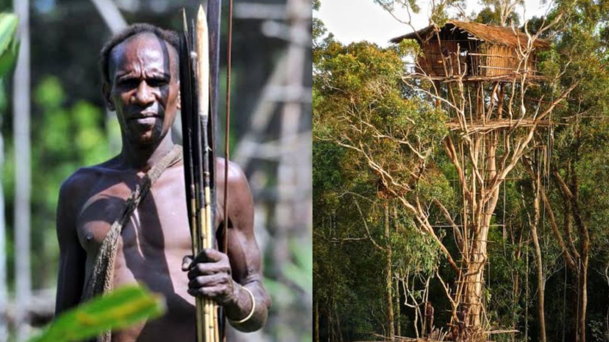 Bisikan dari Langit Hutan Papua: Sejarah Suku Korowai dan Tradisi Rumah di Atas Pohon!