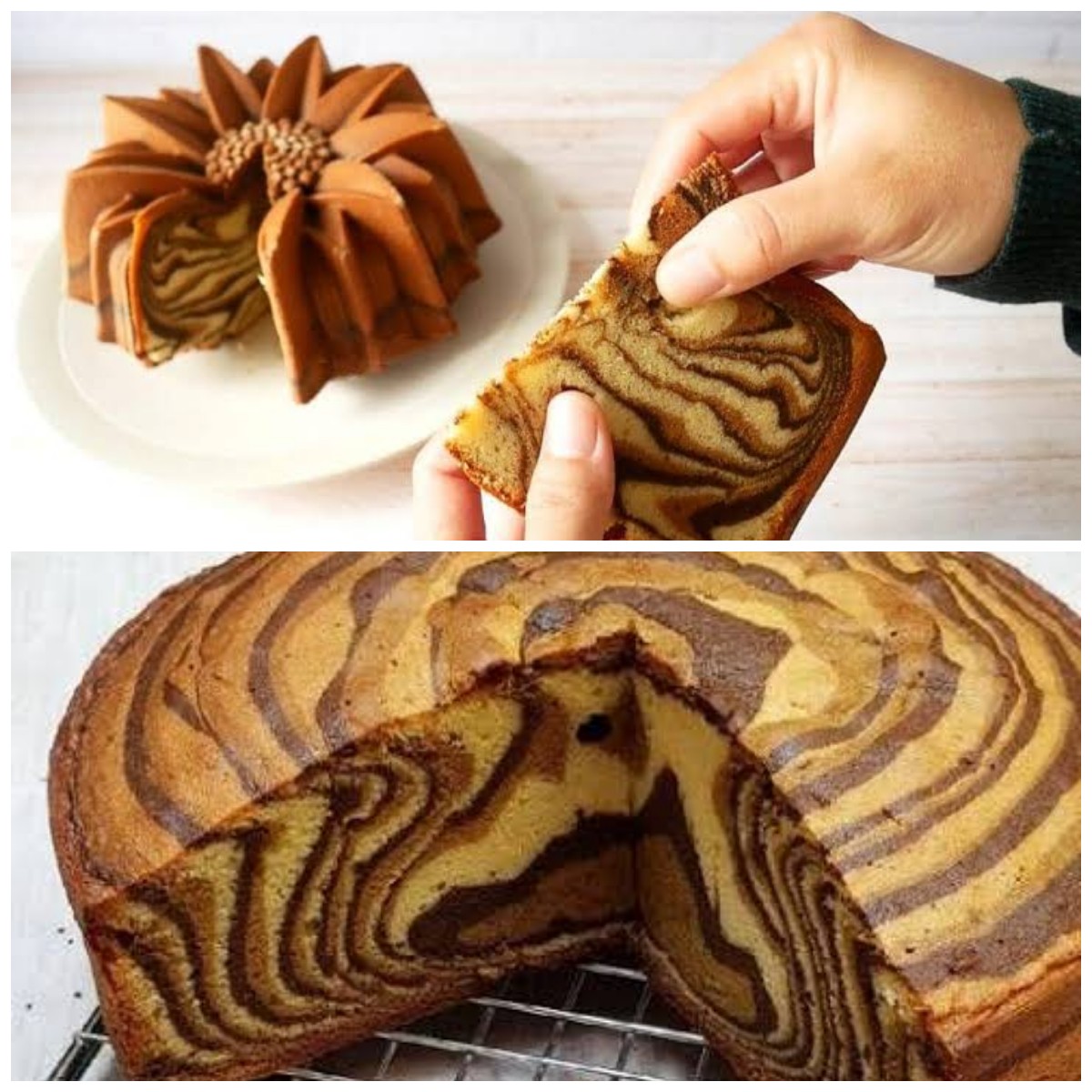 Rahasia Bolu Macan Selembut Sutra, Rahasianya Ada di Perbandingan Bahan Dapur Ini!