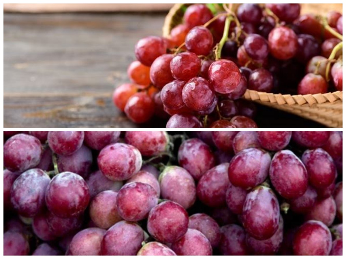 Rahasia Sehat: Manfaat Anggur Merah yang Kaya Nutrisi untuk Tubuh