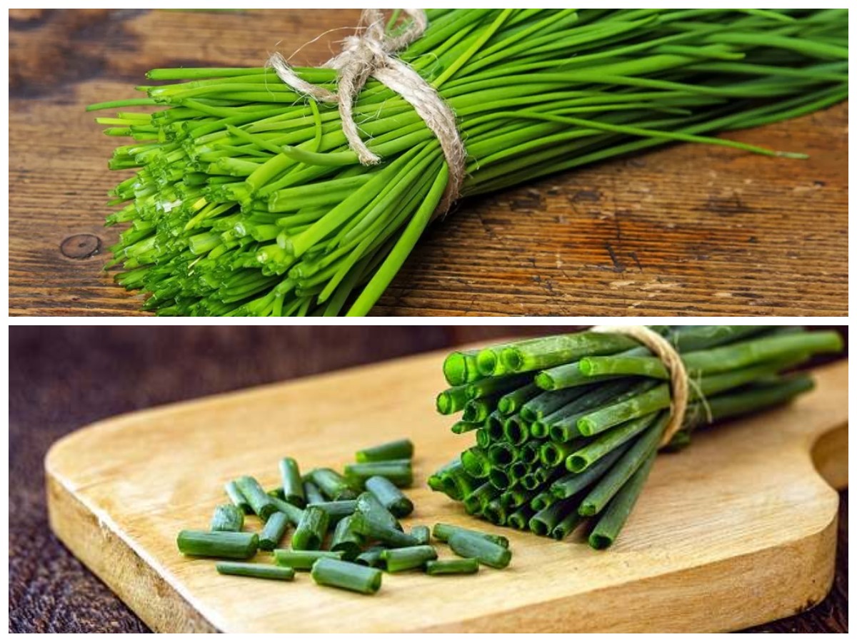 Kaya Manfaat! Inilah 8 Khasiat Bawang Batak untuk Kesehatan Tubuh