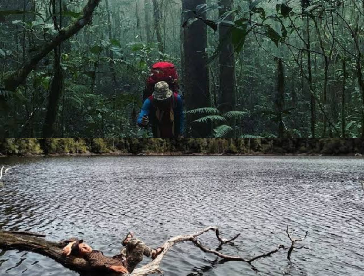 Ingin ke Gunung Patah di Bengkulu? Inilah 4 Fakta yang Harus Diketahui Pendaki Untuk Pemula