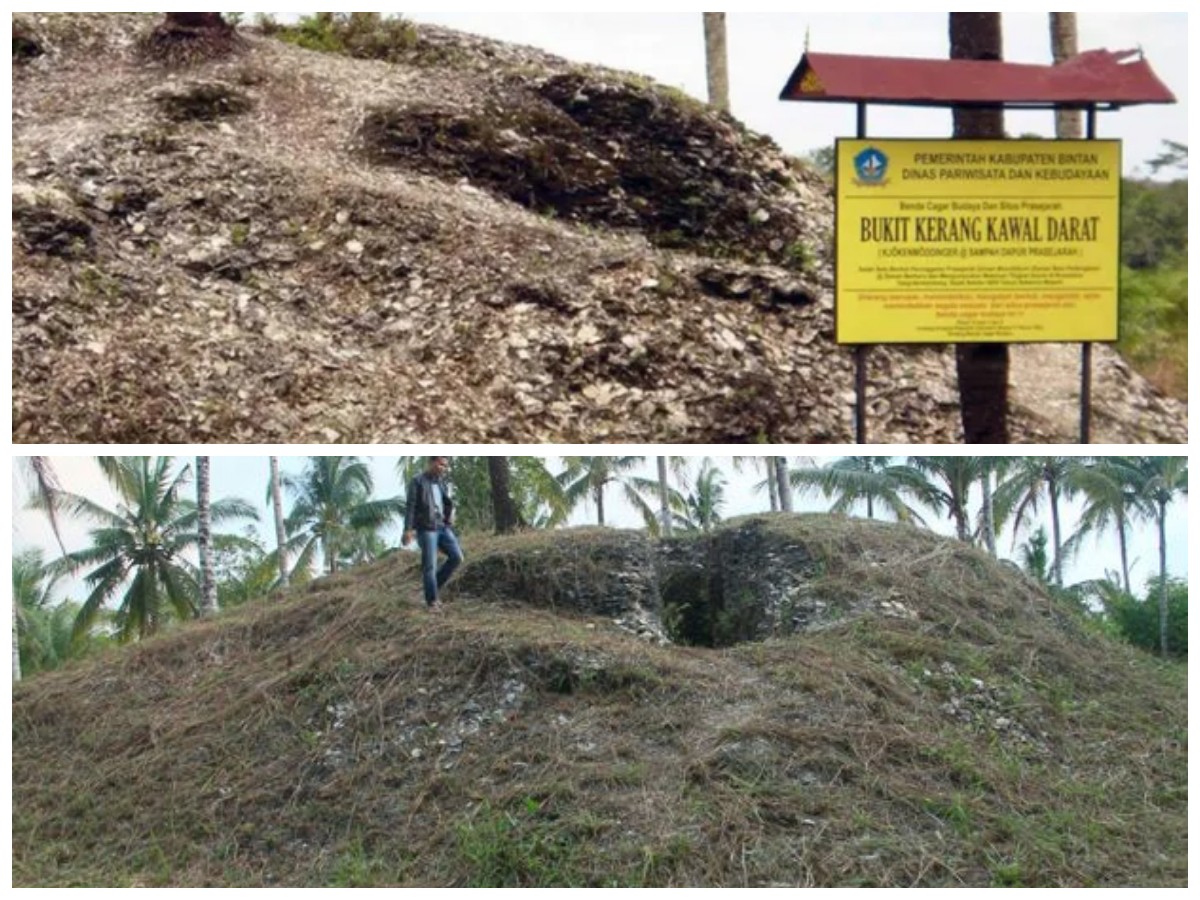 Mengenal Bukit Kerang: Warisan Prasejarah yang Tersimpan di Pesisir Indonesia