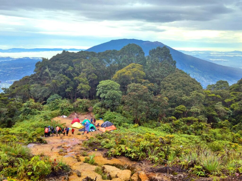 Pesona Gunung Sago, Menyusuri Keindahan Alam di Puncak Sumatera Barat