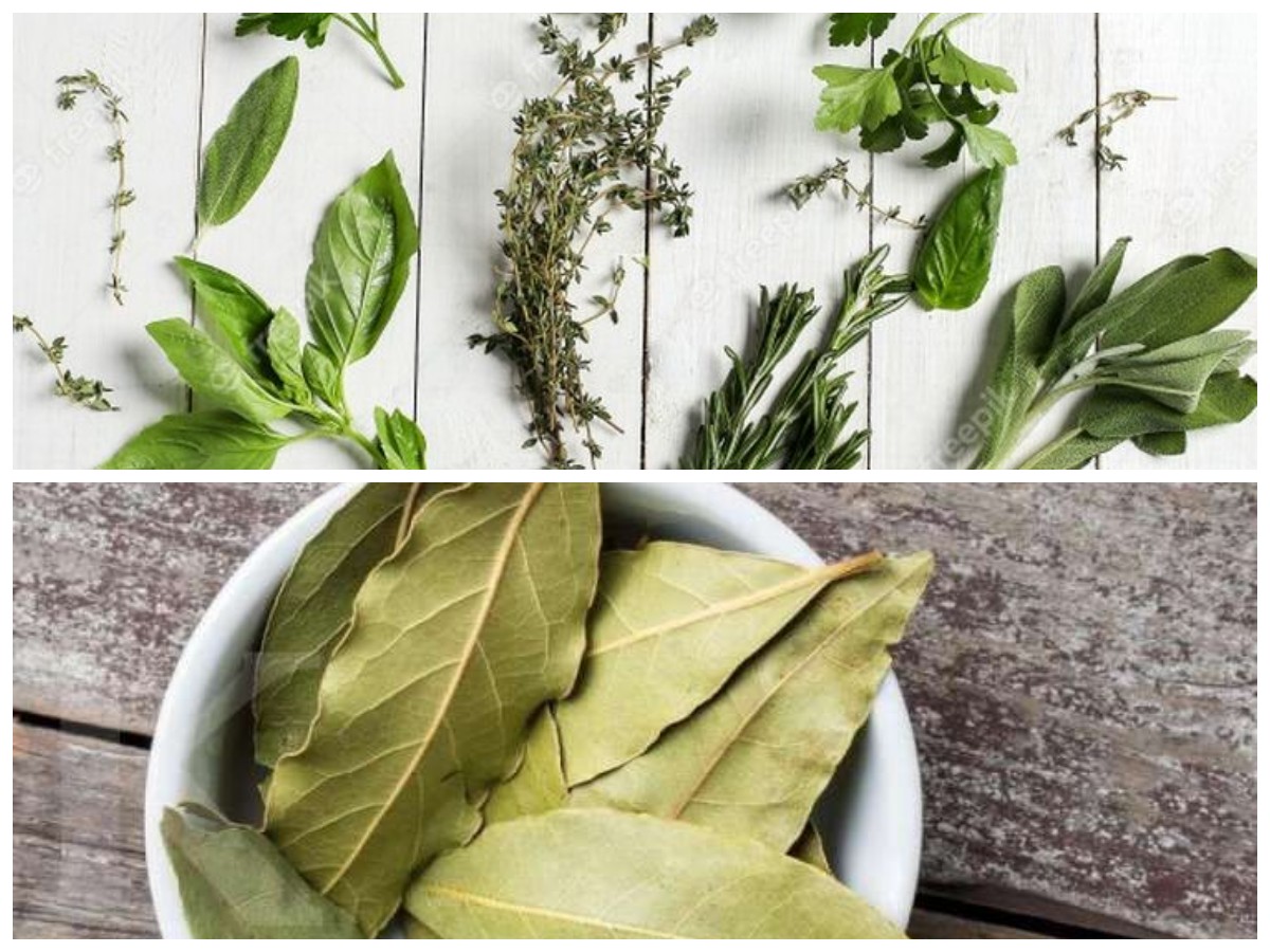 Atasi Nyeri Sendi Secara Alami dengan 6 Ramuan Daun Berkhasiat Ini